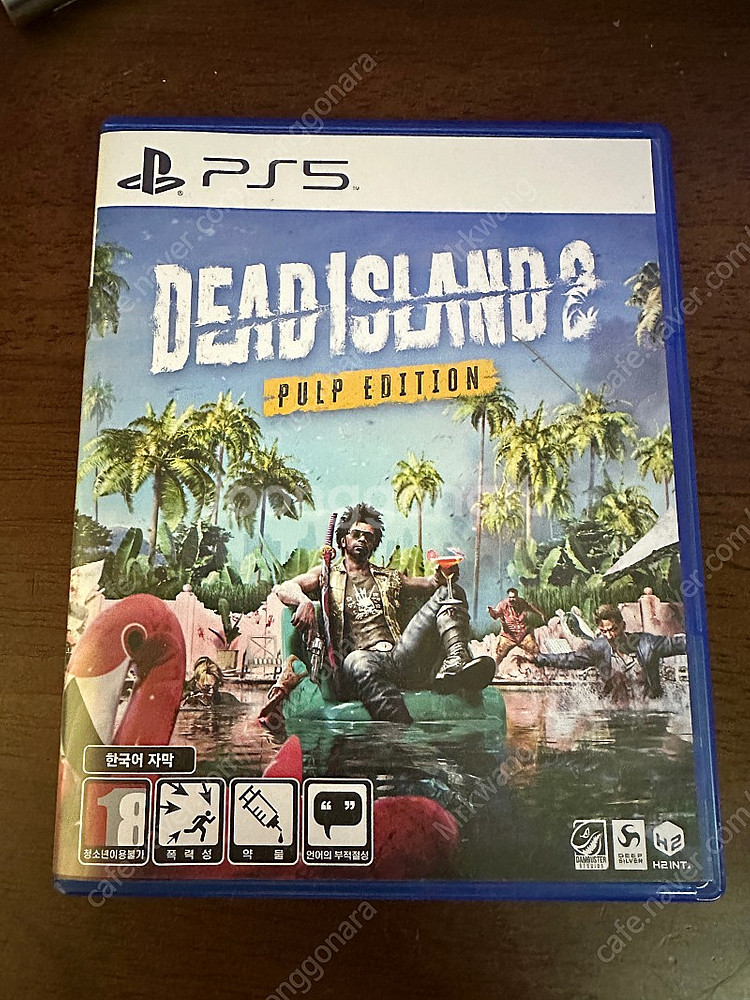PS5 데드아일랜드2 (코드 미사용)--0