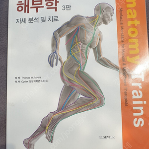 근막경선 해부학