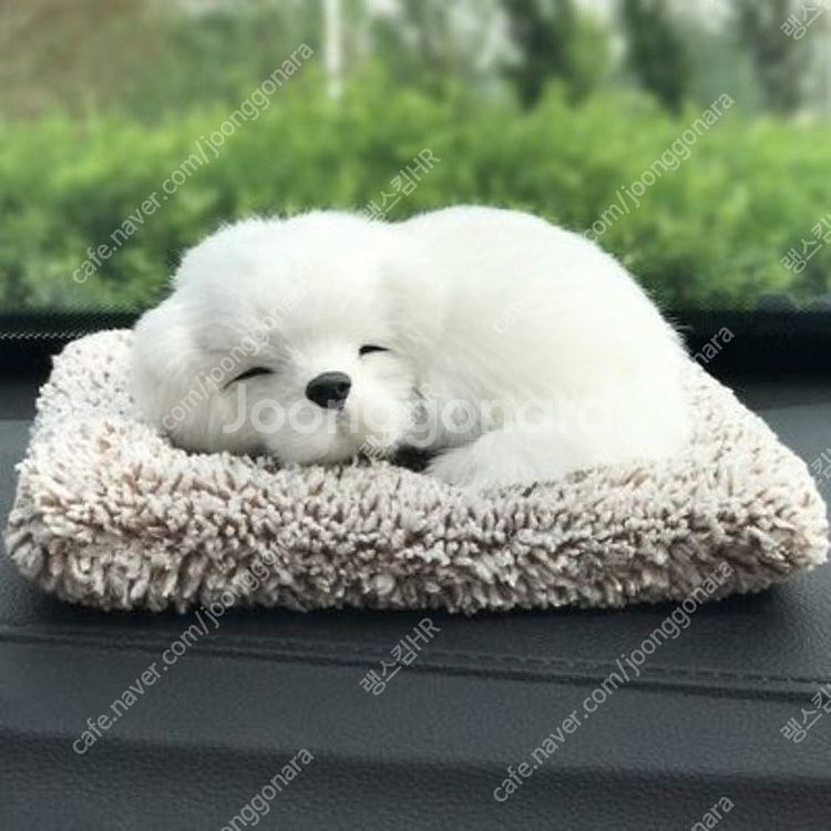 새 대형 사모예드 강아지 제습 인형 활성탄 공기 청정--2