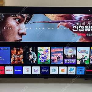 LG OLED 4K TV 48인치 판매합니다. (OLED48A2ENA)