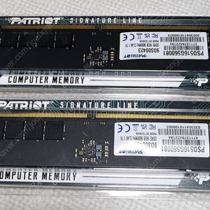 패트리어트 DDR5 5600 16GB 2개