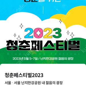 2023청춘페스티벌 원데이프리1장 45000