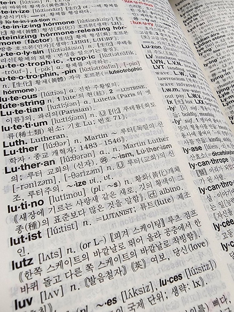 엣센스 영한사전 민중서림 이미지