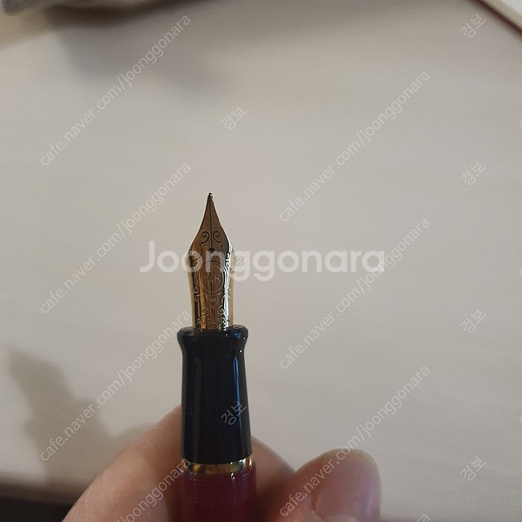 오로라 탈렌튬 보르도 f닙 만년필 판매합니다--3