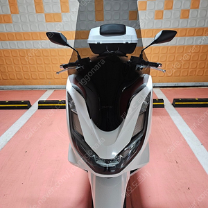 pcx125 abs