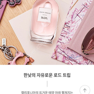 코치드림 40ml 새상품