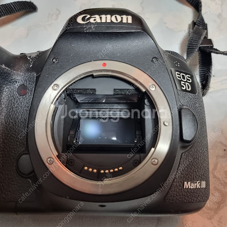 5d mark3+EF 70-200mm f2.8L IS ...--2