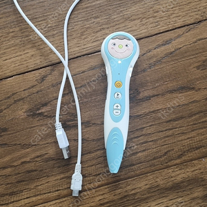 프뢰벨 씽킹펜