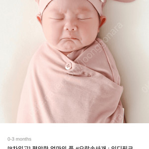 자라다 자라난다 모로반사 (인디핑크)