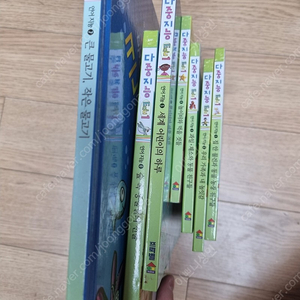 프뢰벨 다중지능+dvd+테마동화+씽킹펜+은물+준은물+메타인지