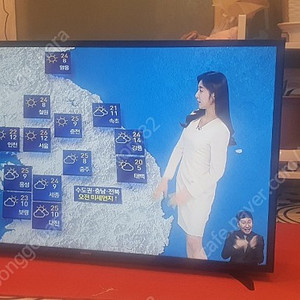 삼성43인치tv