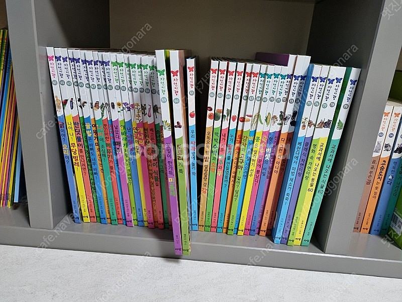 아람 자연이랑 프리미엄 79권+공룡카드+명화카드+동식물...--1