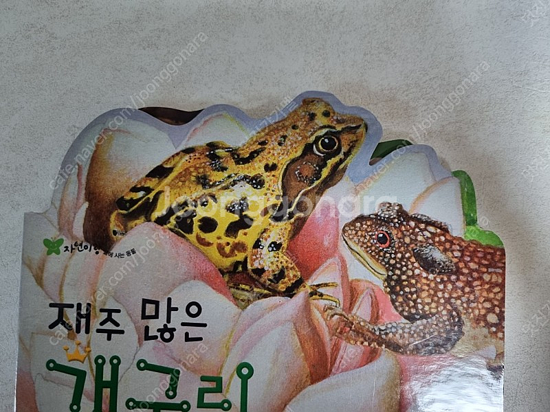 아람 자연이랑 프리미엄 79권+공룡카드+명화카드+동식물...--2