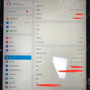 아이패드 프로 3세대 12.9 256G 셀룰러 실버 풀박