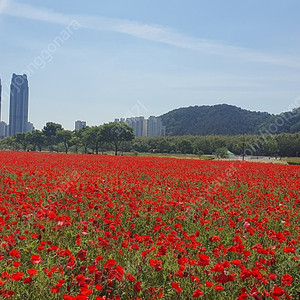 구합니다.,( SMS 스피커스탠드 S3)