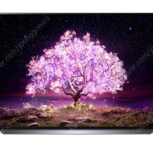 LG 엘지 48c1 oled 구합니다. 삽니다.