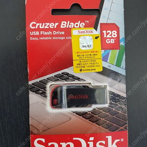 샌디스크 128 gb usb