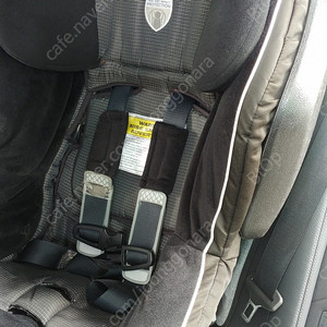 브라이텍스 어드보케이트 카시트 (아이소픽스(ISOFIX) 래치벨트, 윗쪽을 잡아주는 테더벨트 포함)