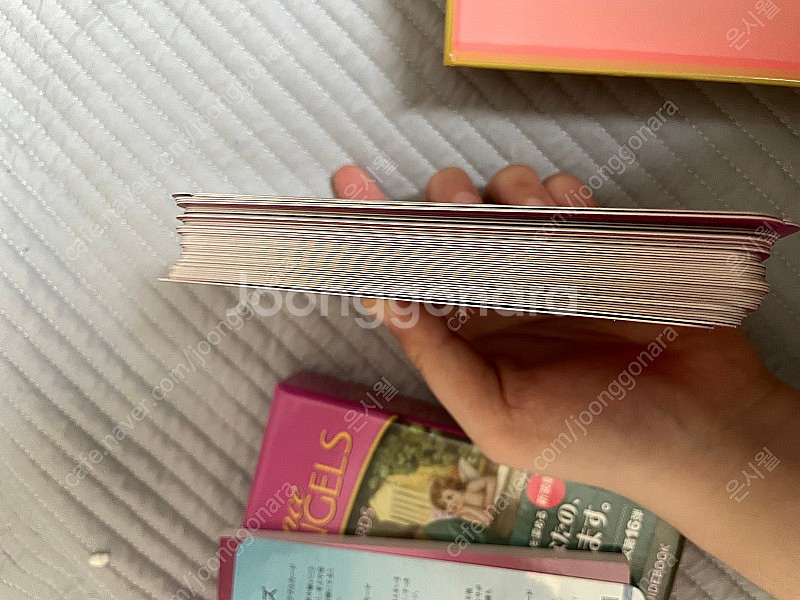 도린버츄/도린버추 로맨스 앤젤(로맨스 엔젤) 일어판 정품 급처합니다.--2