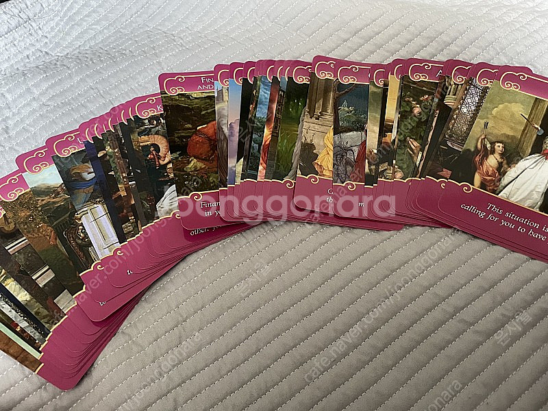 도린버츄/도린버추 로맨스 앤젤(로맨스 엔젤) 일어판 정품 급처합니다.--4