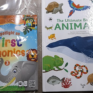 스포트라이트 Spotlight on First Phonics 3 2권세트 / The Ultimate Book of Animals