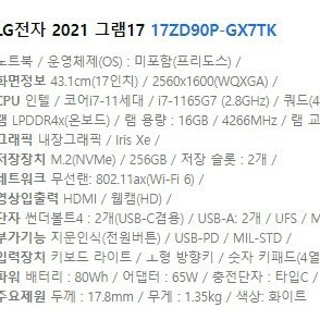 LG 그램 17인치 (11세대 i7)