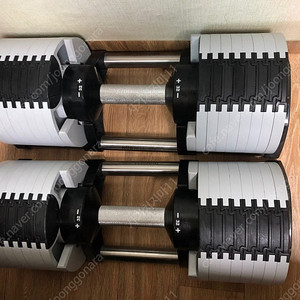 누오덤벨 신형 애쉬그레이 32kg 2개 (몬스터블럭 온전 7장 재단 1장 총 8장 증정) (오직 ~23/05/30)