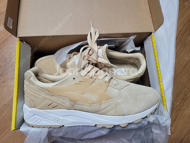 젤 카야노 트레이너--0