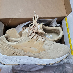 젤 카야노 트레이너