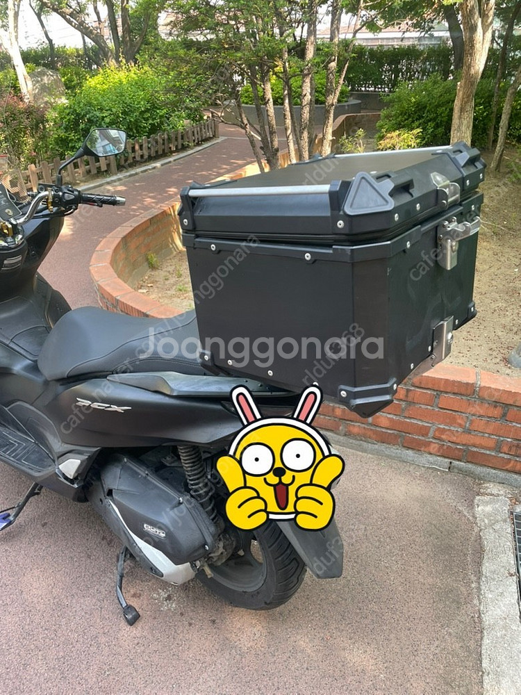 PCX 125 22년식 수리완료된차량 팜니다--6