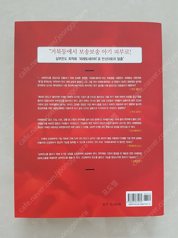 피레토 세라피 피부질환 아토피 도서 책--1