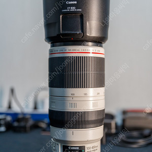 EF 100-400mm F4.5-5.6L IS II USM 백사2 팝니다