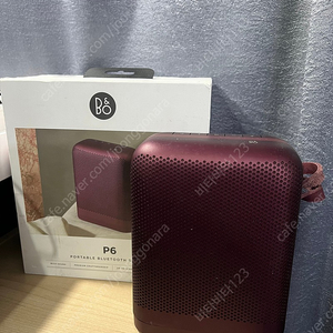 B&O 뱅앤올룹슨 p6 스피커