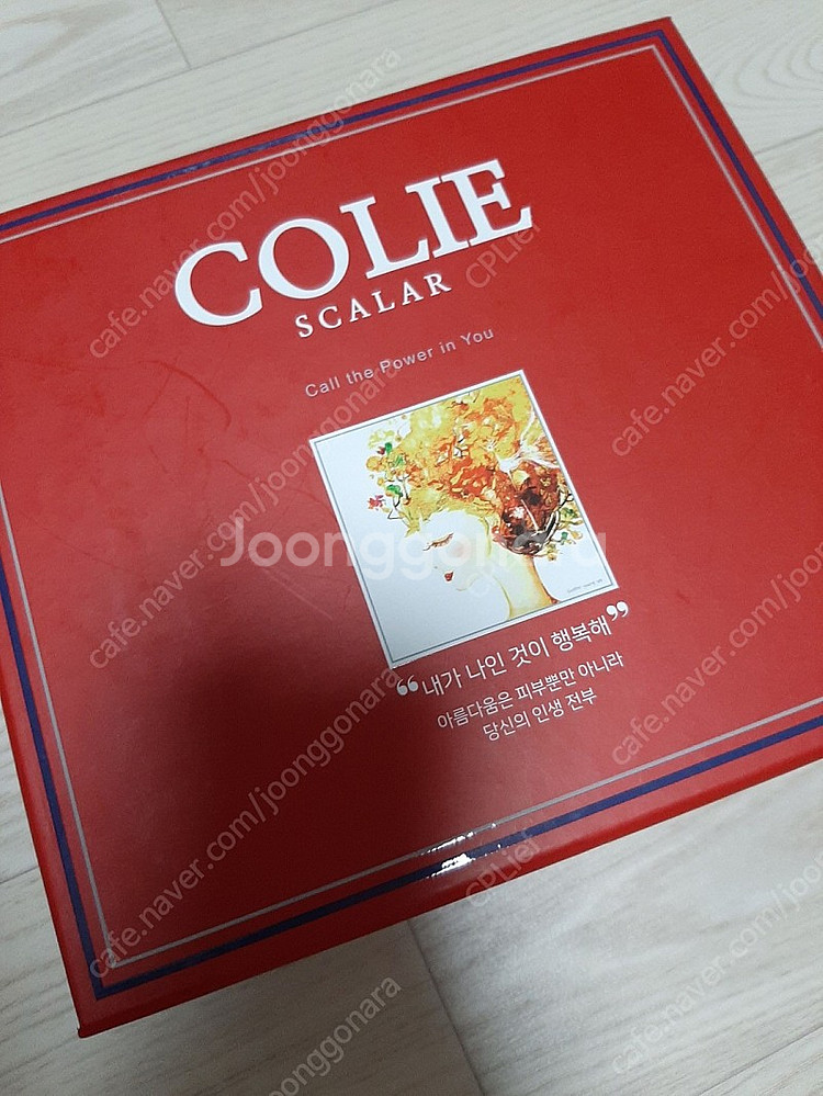 Colie 여성기초 세트 팝니다. (새상품 )--1