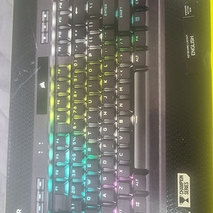 커세어 k70 RGB TKL 스피드축 팝니다.