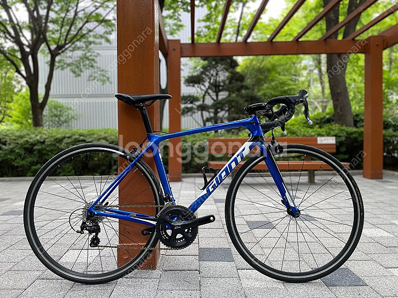 자이언트 TCR 어드밴스 2--7