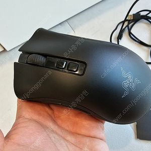 레이저 데스에더 v2 pro