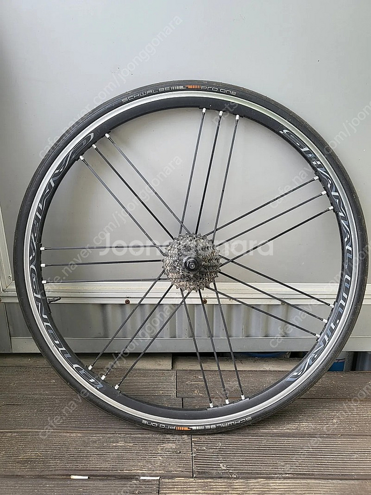 샤말울트라 c17 스프라켓 타튜포함--0