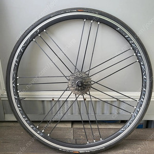 샤말울트라 c17 스프라켓 타튜포함