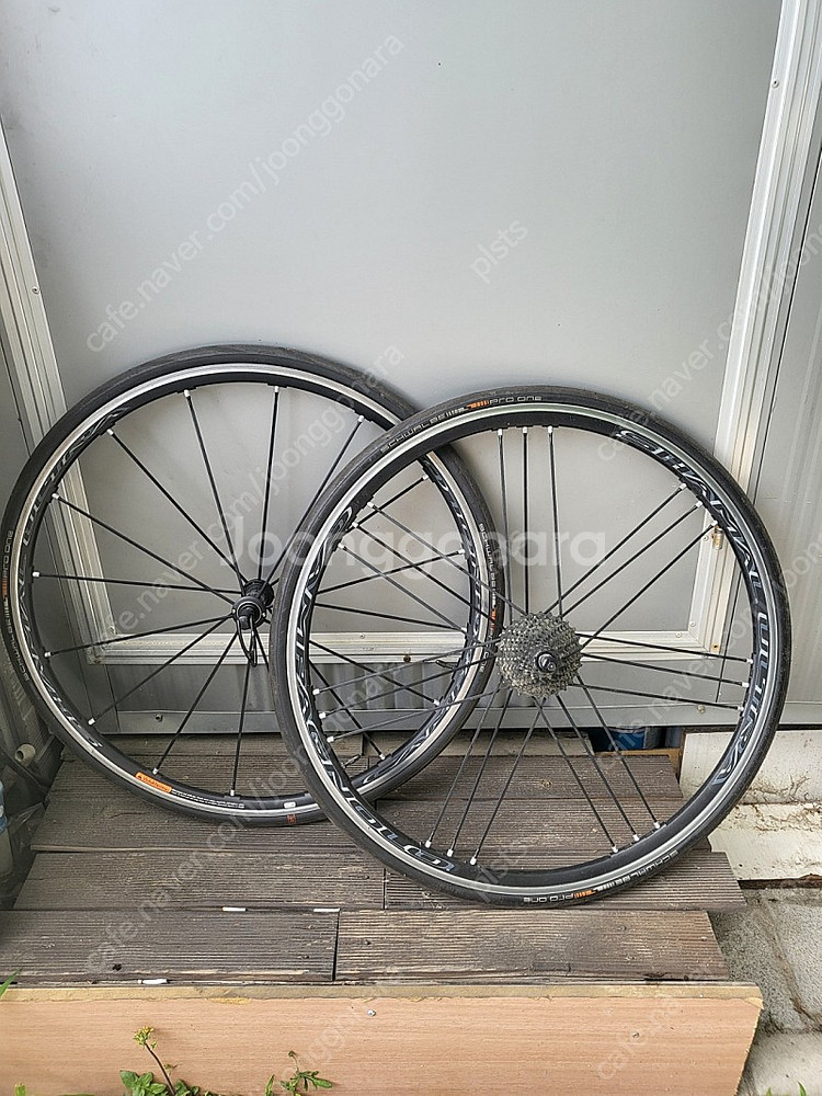 샤말울트라 c17 스프라켓 타튜포함--4