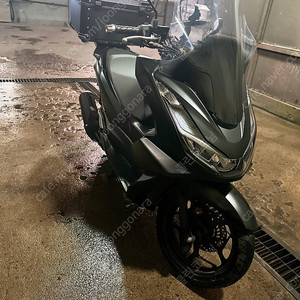 21년식 PCX125 9천키로