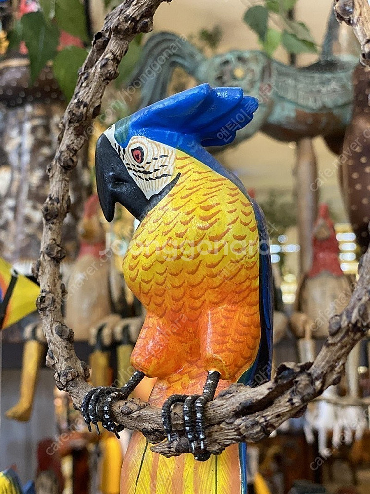 예쁜 앵무새 자연목, 나무에 채색 가로 15 세로 25cm 판매가 45,000/택포 | 중고나라 - 안심되는 중고거래