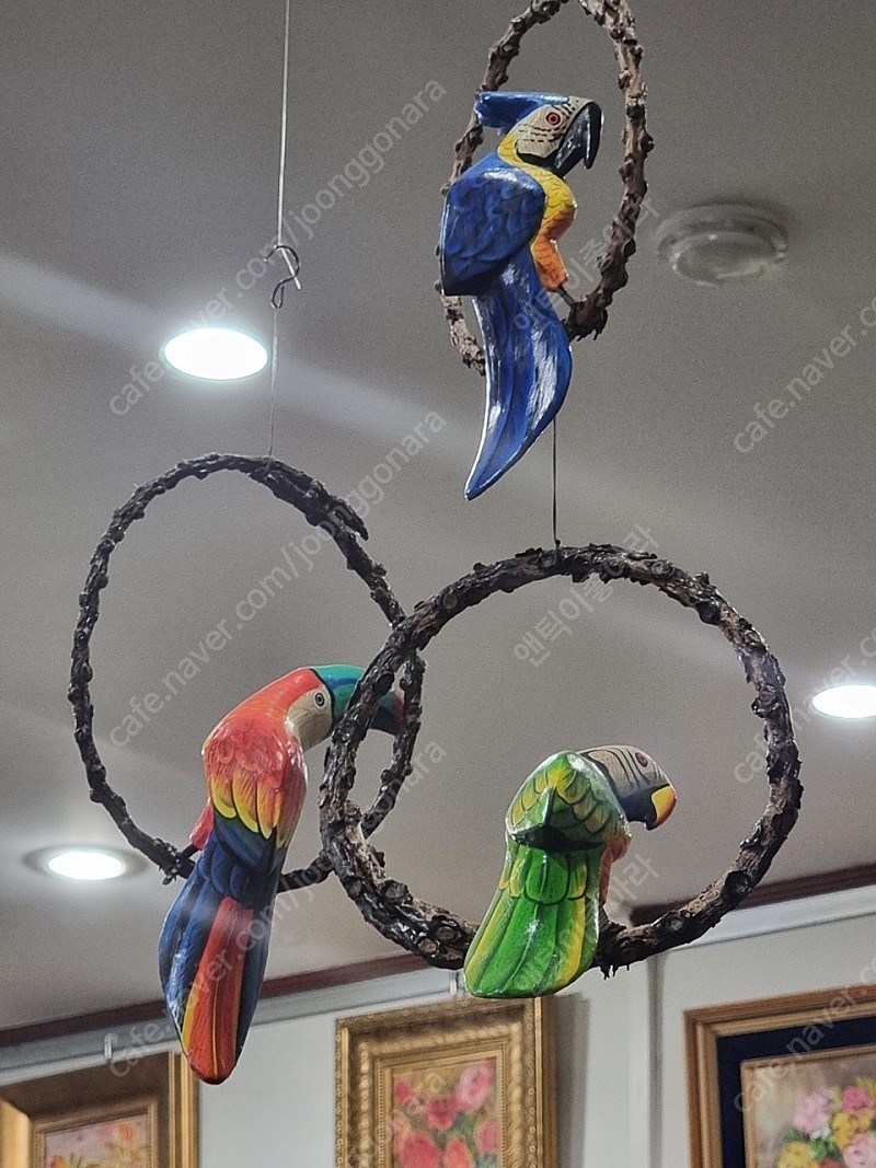 예쁜 앵무새 자연목, 나무에 채색 가로 15 세로 25cm 판매가 45,000/택포 | 중고나라 - 안심되는 중고거래