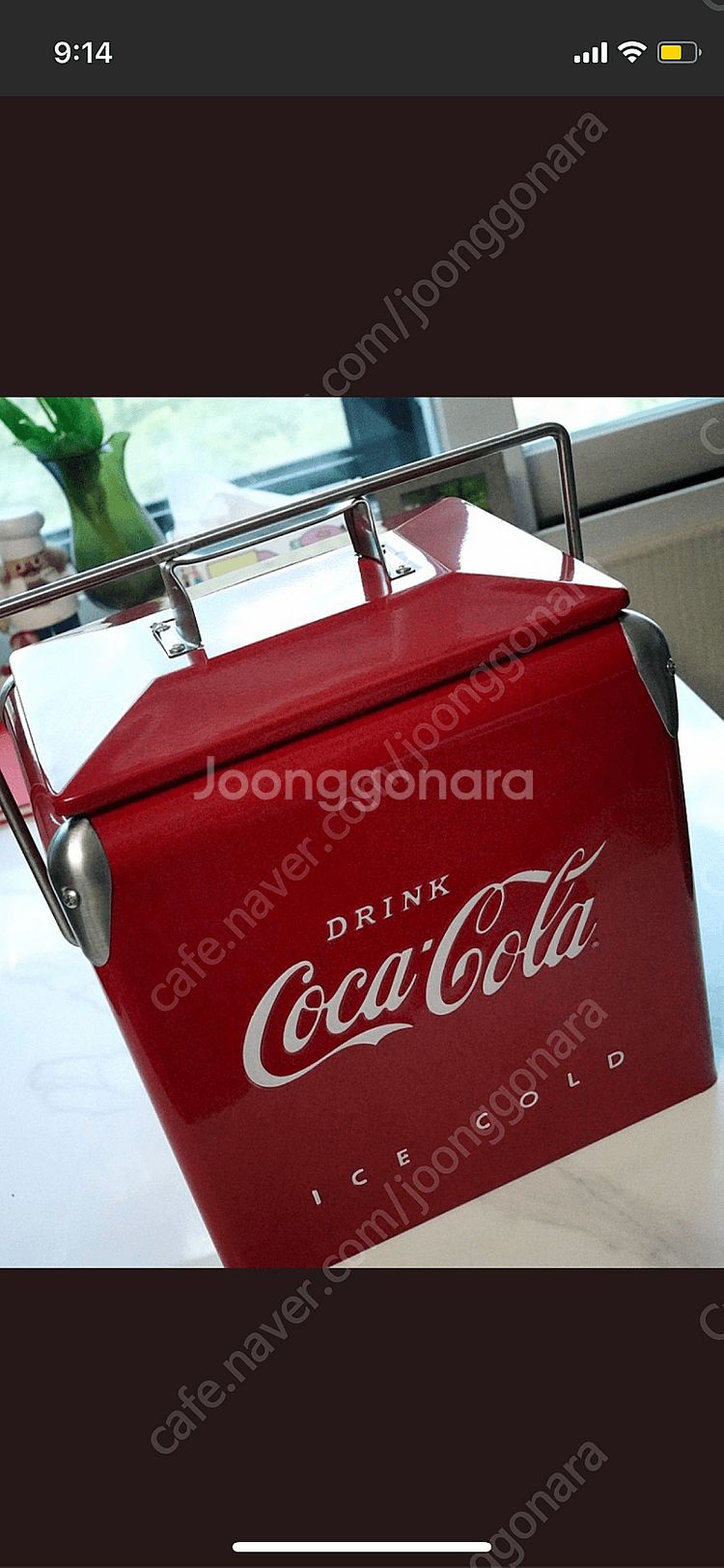 코카콜라 피크닉쿨러 아이스박스(13L)--0