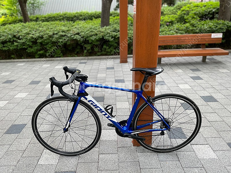자이언트 TCR 어드밴스2 일체형핸들바 이번주만 80만...--1