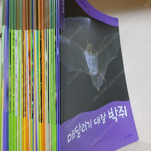 기탄교육 자연관찰 페이퍼북 다독3000