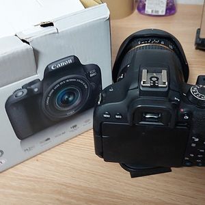 캐논800d