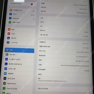 아이패드프로 4세대 12.9인치 128기가 셀룰러 s급 판매합니다