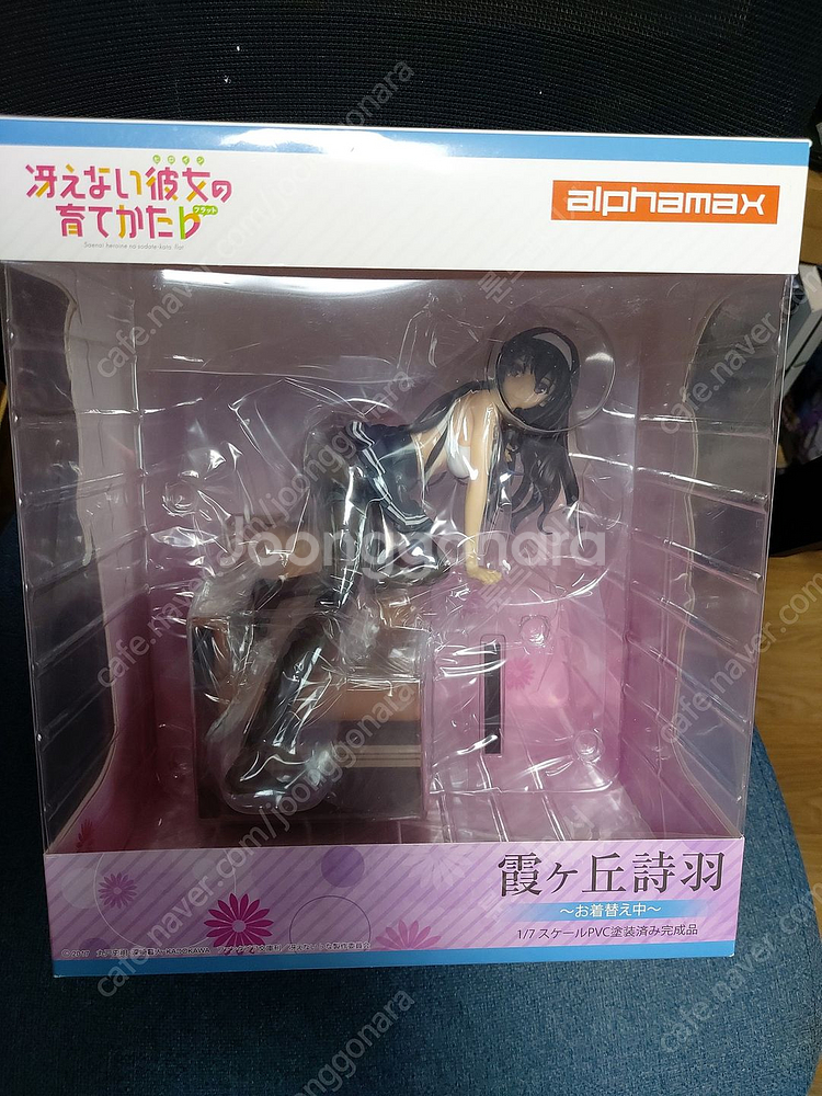 블랙하트, 카토메구미, 쿠루미, 하얀여왕 미소녀 피규어...--8