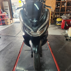 pcx 20년식